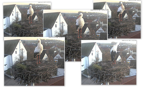 Bilder16.jpg