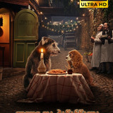 Lady And The Tramp 2019 COVER