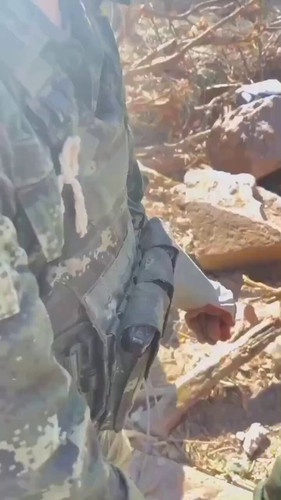Yq8e2UX35IsDgqID.jpg