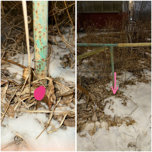 2D66297D 72A8 4F1E 8E9C 6C2DAA2820B8.jpg