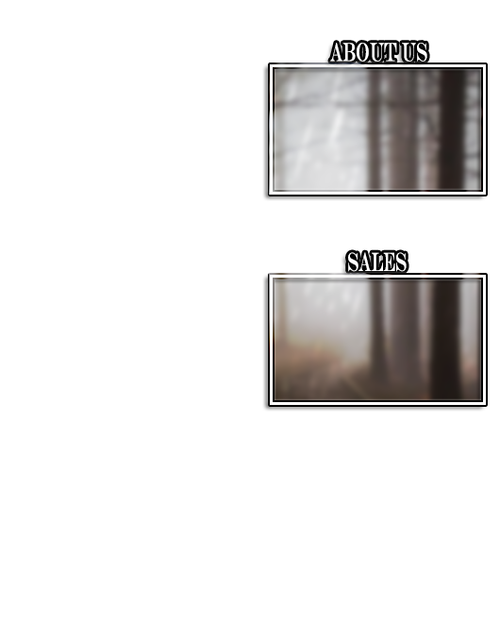 CA Morpheus team b.png