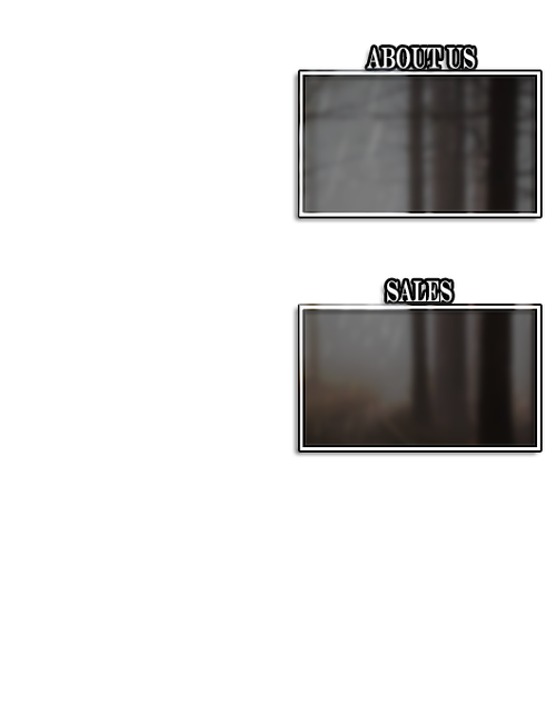 CA Morpheus team bf.png