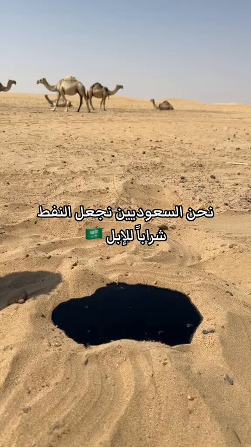 eBzIZoIbKjTJ2 VZ.jpg