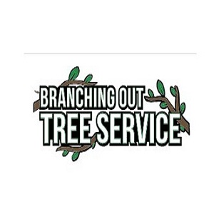 Long Island Tree Service.jpg