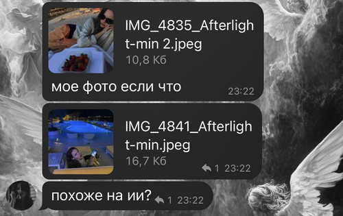 IMG 4305.jpg