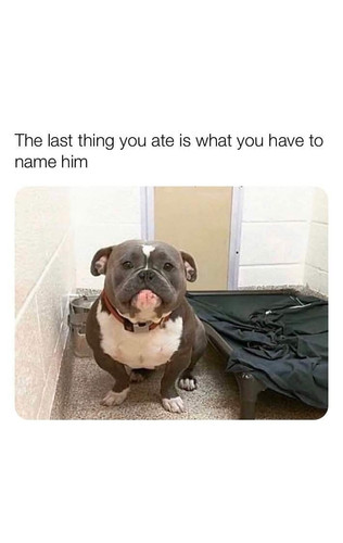 576969003 4319957451617817 8067302832476386208 n.jpg