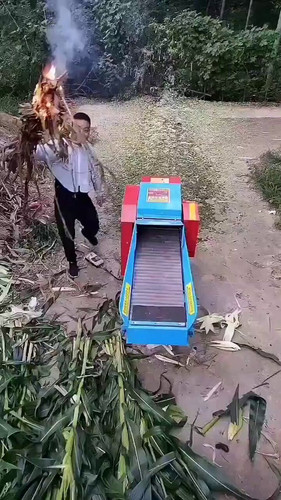 FPIgjUmkdSUyfWLj.jpg