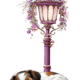 77.png