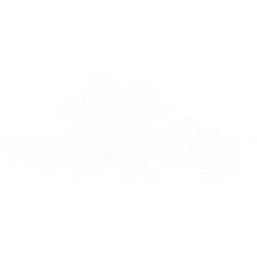 72.png