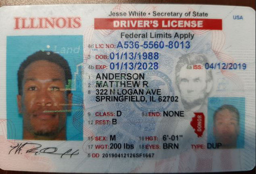 Matthew R Anderson license.jpg