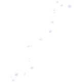 95
