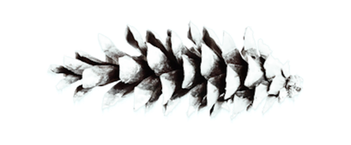 24.png