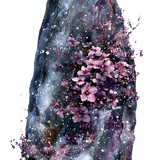 30.png