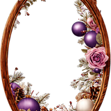 Frames (4).png