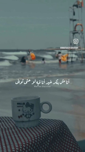 MKFrbz9kFuTDeOcj.jpg
