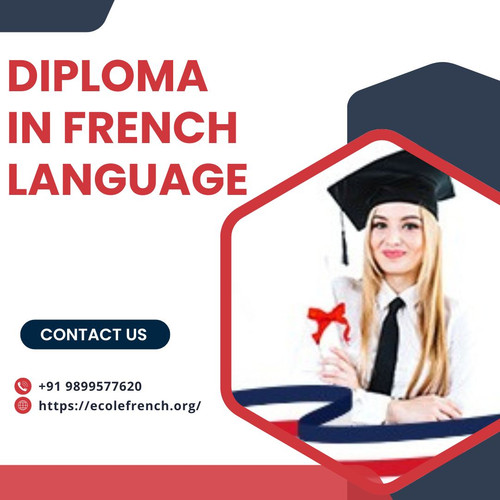 How to Build a Global Career with a Diploma in French Language.jpg
