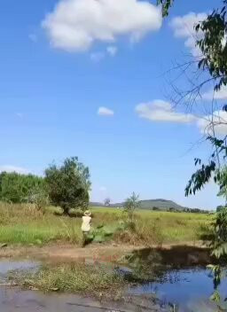 zQJLoFjV1wQl5 kq.jpg