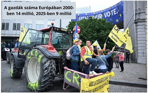 599664745 1278350780985585 1293567008435910269 n.jpg?stp=dst jpg p843x403 tt6& nc cat=110& nc cb=99b.jpg