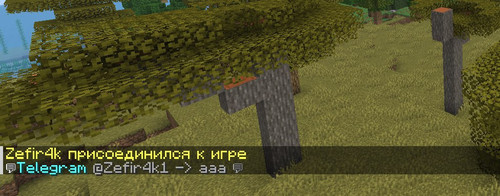 f6f1567c18af.jpg