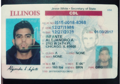 Alejandro Infante license.jpg