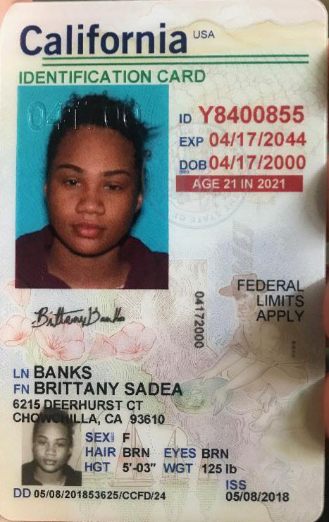 Brittany S Banks license.jpg