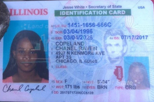 Chanel R Copeland license.jpg