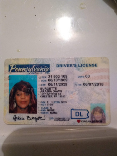 Arabia D Burgette license.jpg