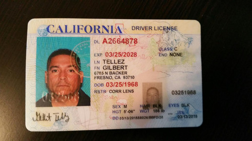 Gilbert Tellez license.jpg