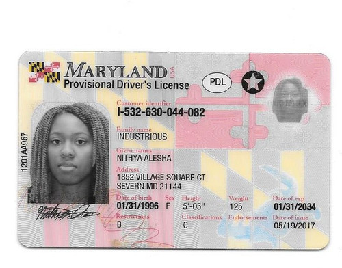 Nithya A Industrious license.jpg