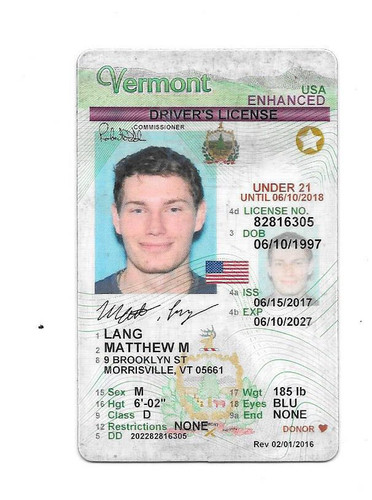 Matthew M Lang license.jpg