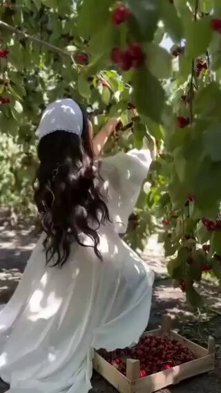JeeNn0ywQXOU3eQK.jpg