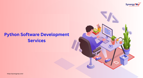 Python Software Development Services (5).png