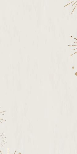 rm321 adj 21 a [Converted].png