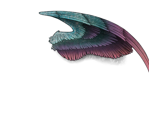 honeybee wings top.png