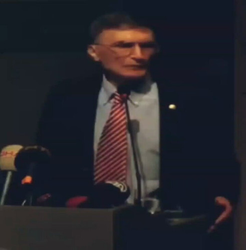 T3778Piriosrz 0Z.jpg