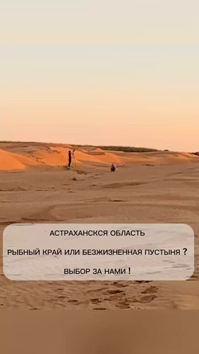 1d6ncop4HJTfIs6M.jpg