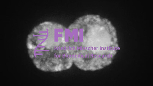 W lcx4Hw3Sz6ywxV.jpg