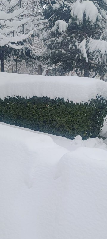 E7SfDNoL4s7YpfTLlAAO A8IQushdnk8Ppk0UQiTMHn81jUoicI8IhmgLGPKz0cmMzaMM 3nxVIp8kf310tl7MZfJYMCfR2IjNFF.jpg