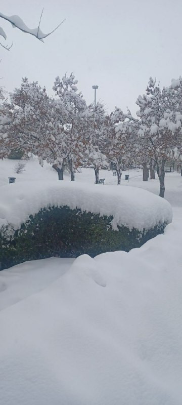 AK8MFz9cFeZ827Lv 8SIuOVJdfIFDqRMjUUams aVBZ07T7JeANyncjovkUL3rFDqIiVOrm9Czk GlsxuJ ZxjZ0nhCzUgAr7dJl.jpg