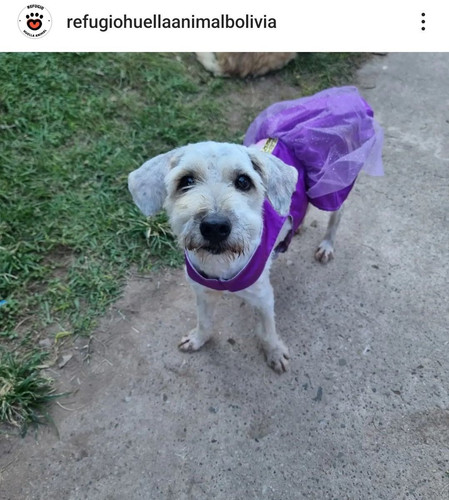 GPvToojW8AA3 hn?format=jpg.jpg