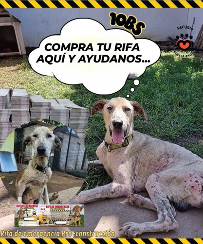 GOtCrTWWAAAs2ti?format=jpg.jpg