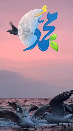 bkEmeq41qOnRxllG.jpg