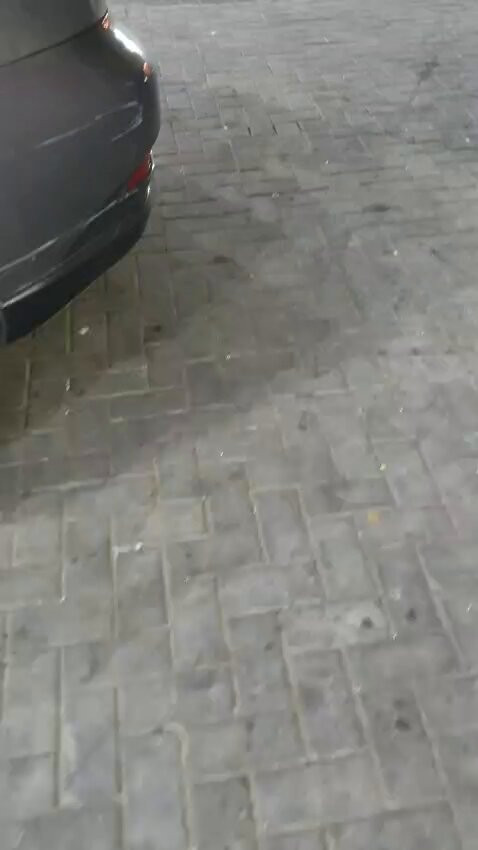 ji O00QclGMs8jxG.jpg