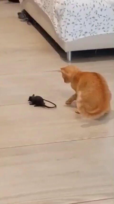 7afPJAO9KVo1HA6I.jpg