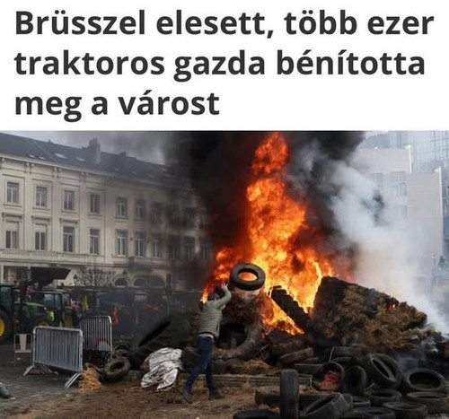 598859967 1176709547981254 5050496017181497161 n.jpg?stp=dst jpg p552x414 tt6& nc cat=100&ccb=1 7& n.jpg