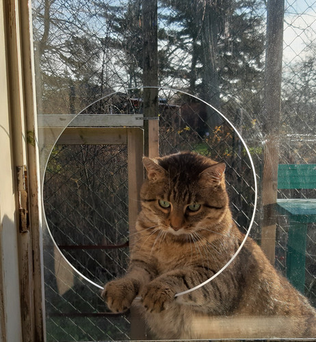 20251216 104159a.jpg