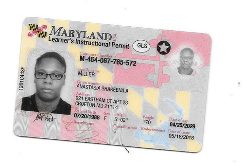 Anastasia Miller license.jpg