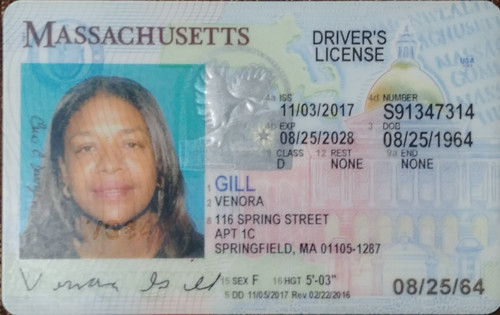 Venora Gill license.jpg
