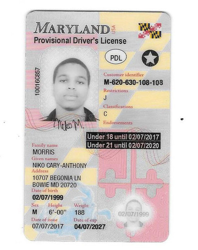 Niko Morris license.jpg