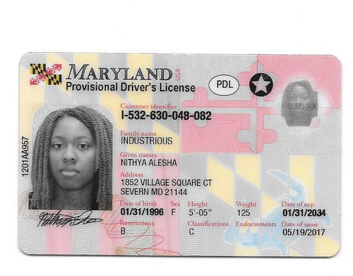 Nithya A Industrious license.jpg